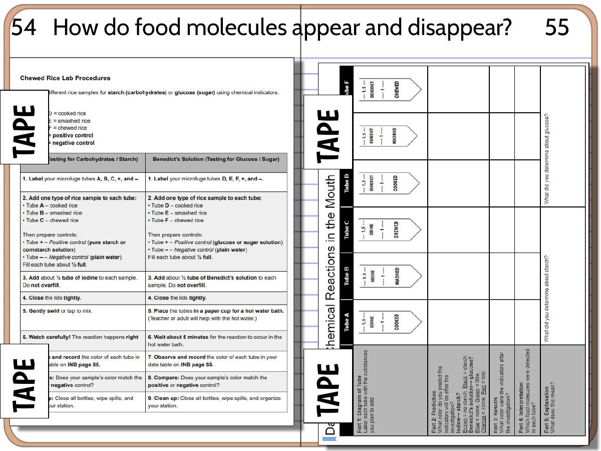 Interactive science notebook example