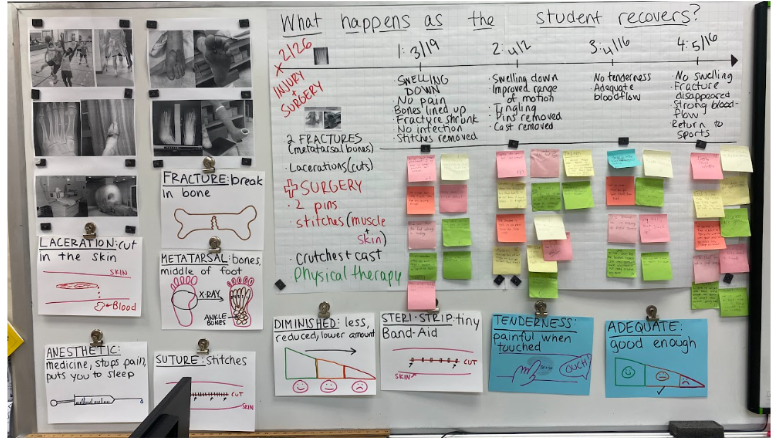 Classroom phenomenon wall with injury photos, vocabulary drawings, healing timeline, and sticky-note questions