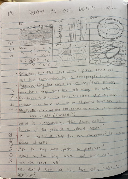 Interactive science notebook example