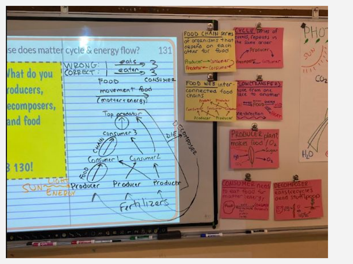Interactive science notebook example