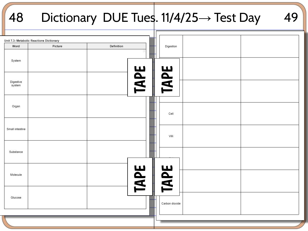 Interactive science notebook example
