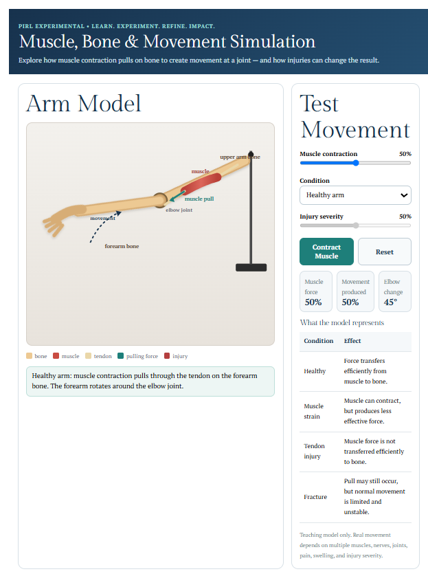 Muscle, Bone and Movement Simulation showing an interactive arm model.