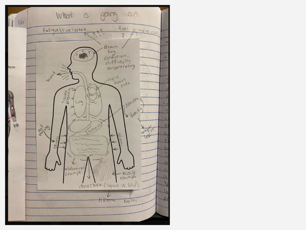 Interactive science notebook example