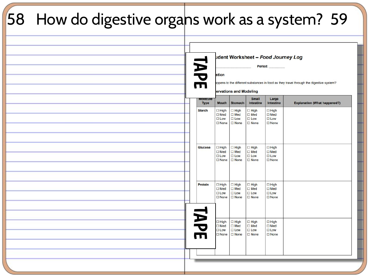 Interactive science notebook example