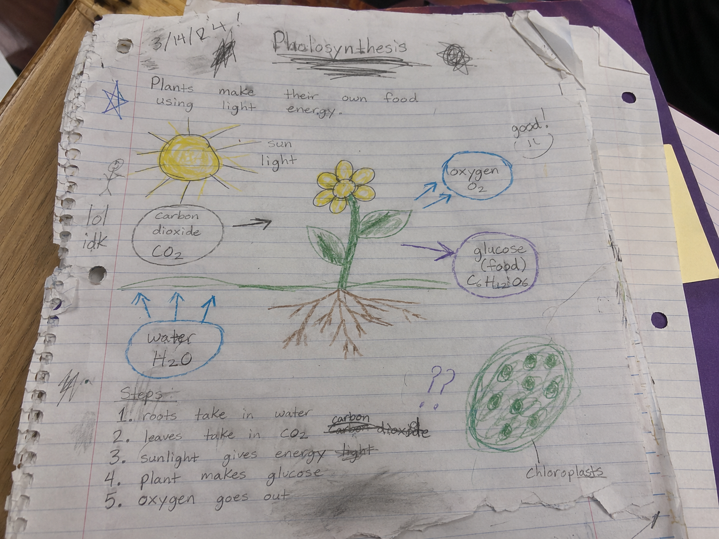 Interactive science notebook example