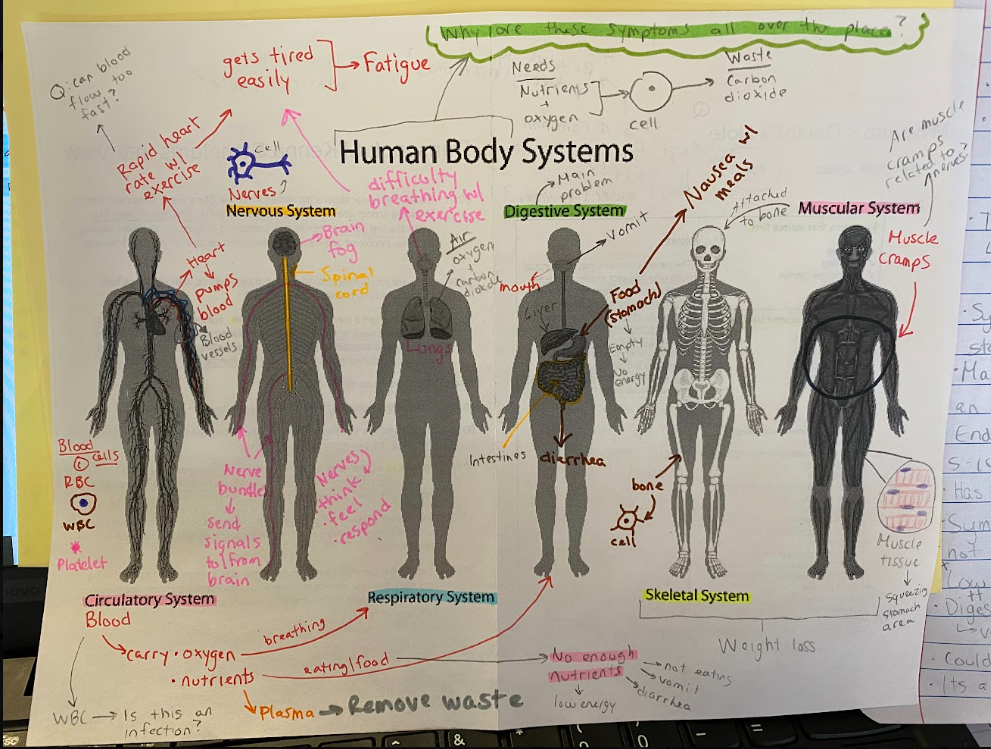 Interactive science notebook example