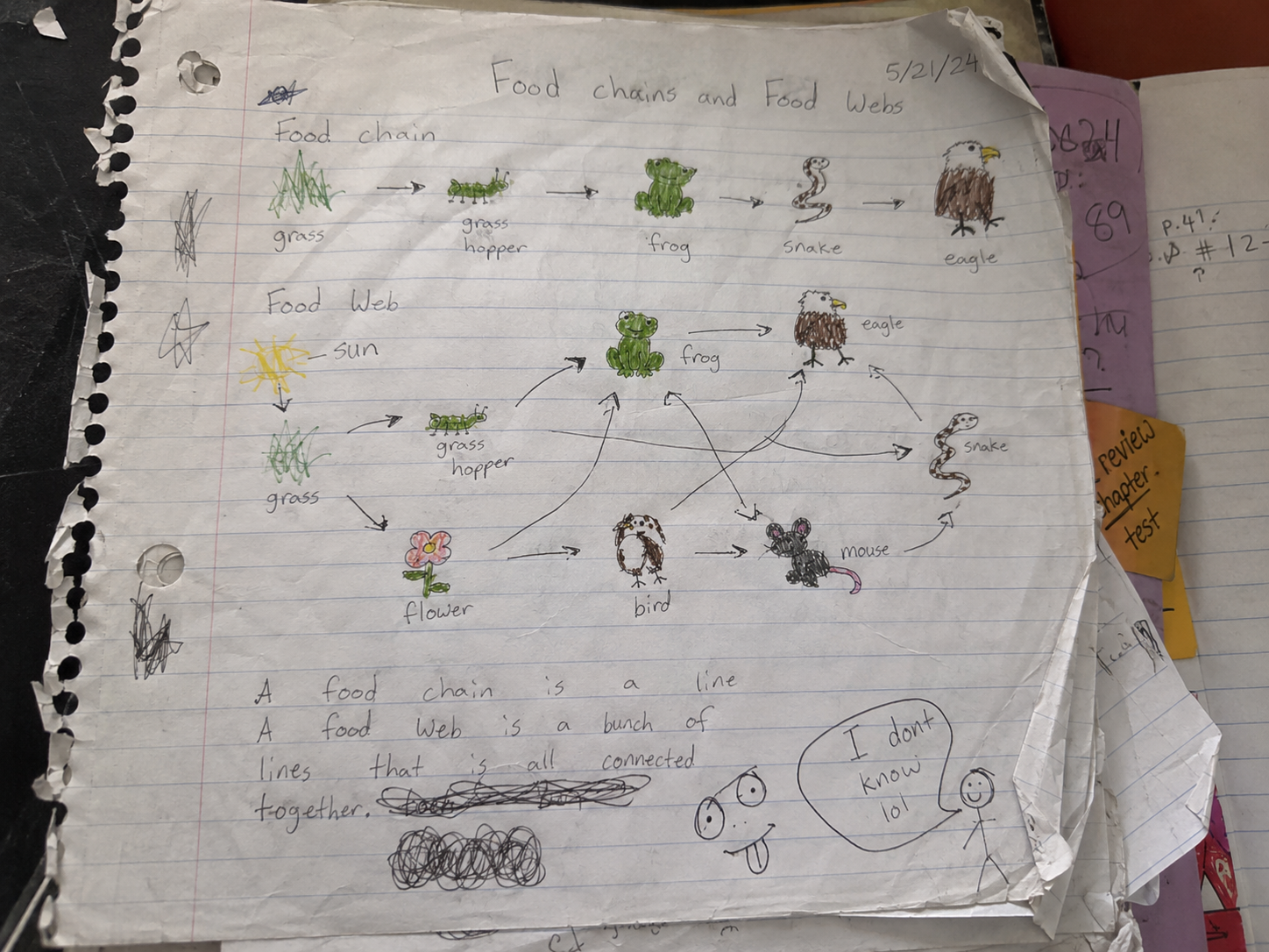 Interactive science notebook example
