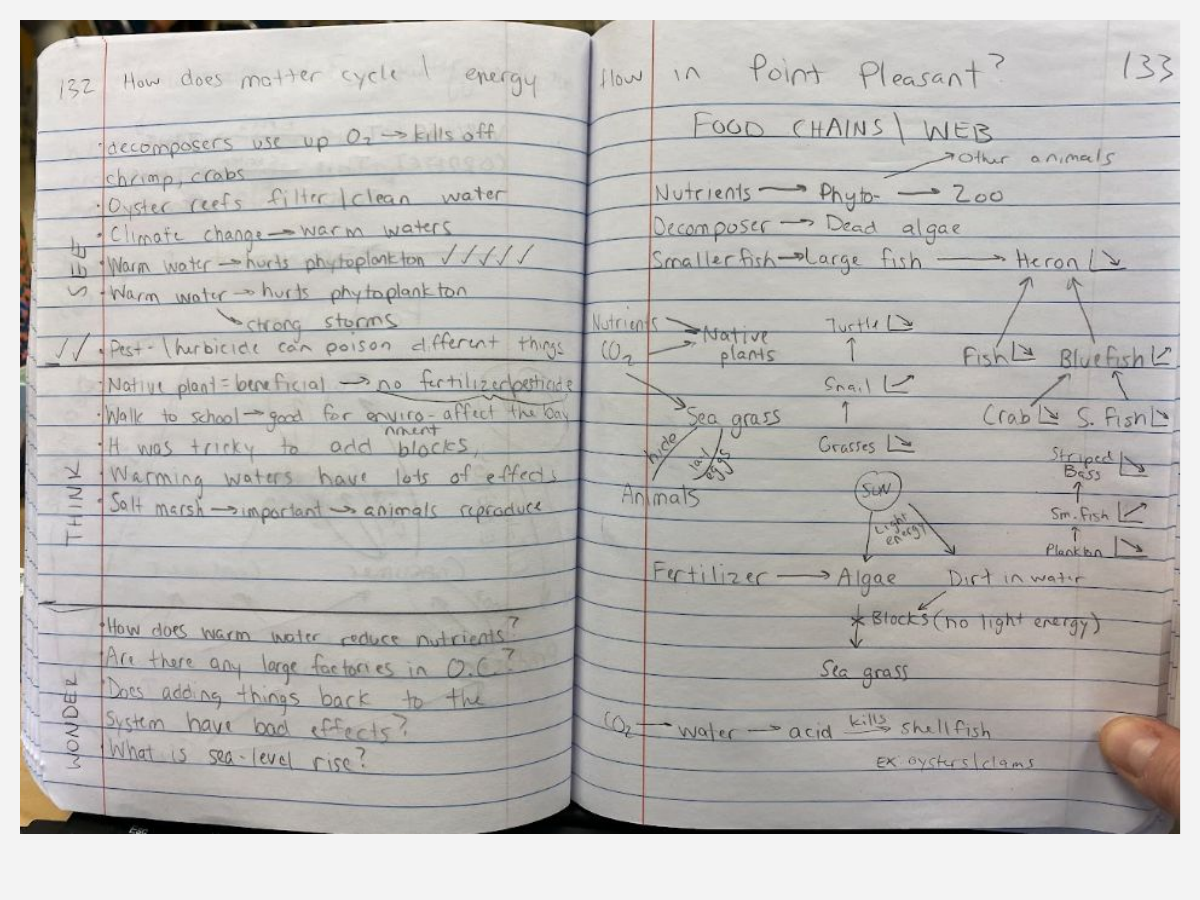 Interactive science notebook example