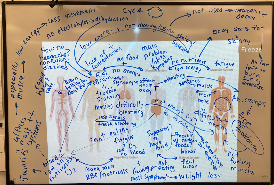 Interactive science notebook example