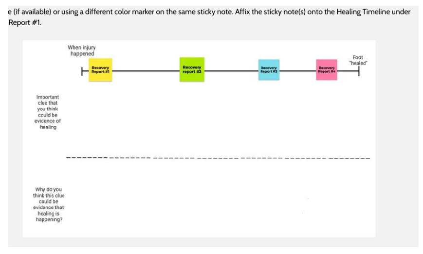 OpenSciEd healing timeline with Recovery Reports 1 through 4