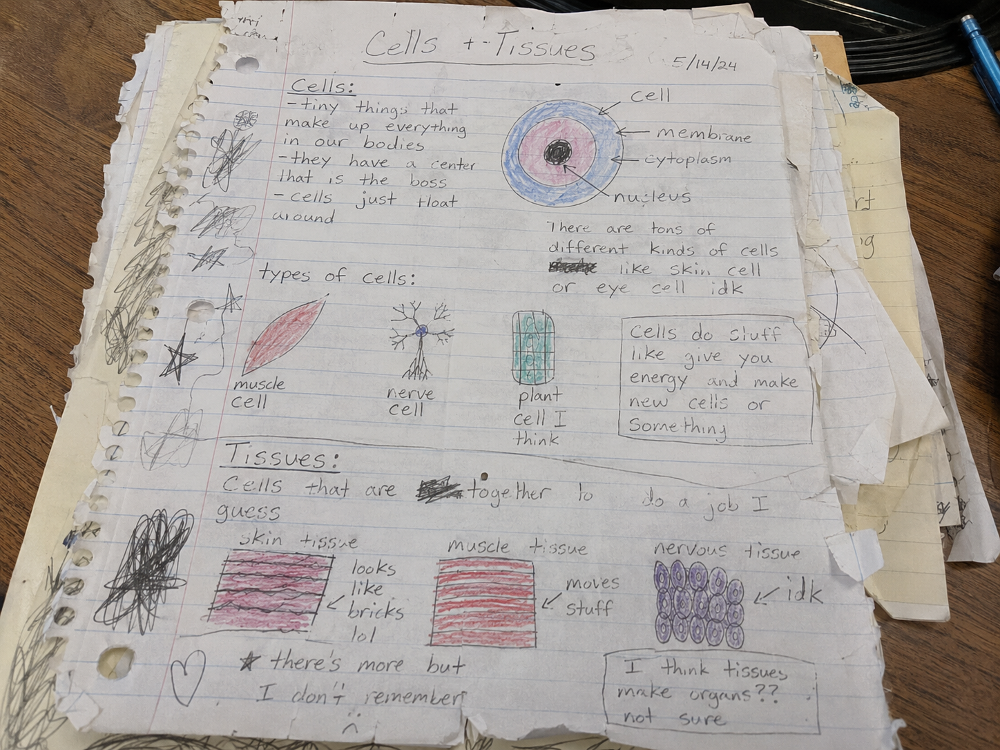 Interactive science notebook example