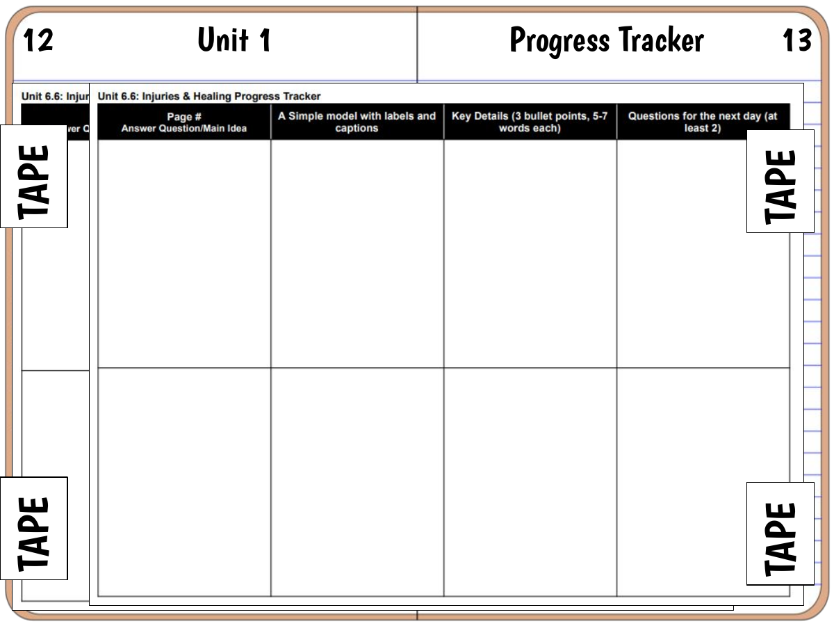 Interactive science notebook example