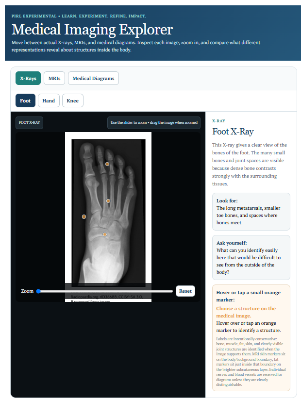 Medical Imaging Interactive with X-ray, MRI, anatomical image, and cross-section activities.