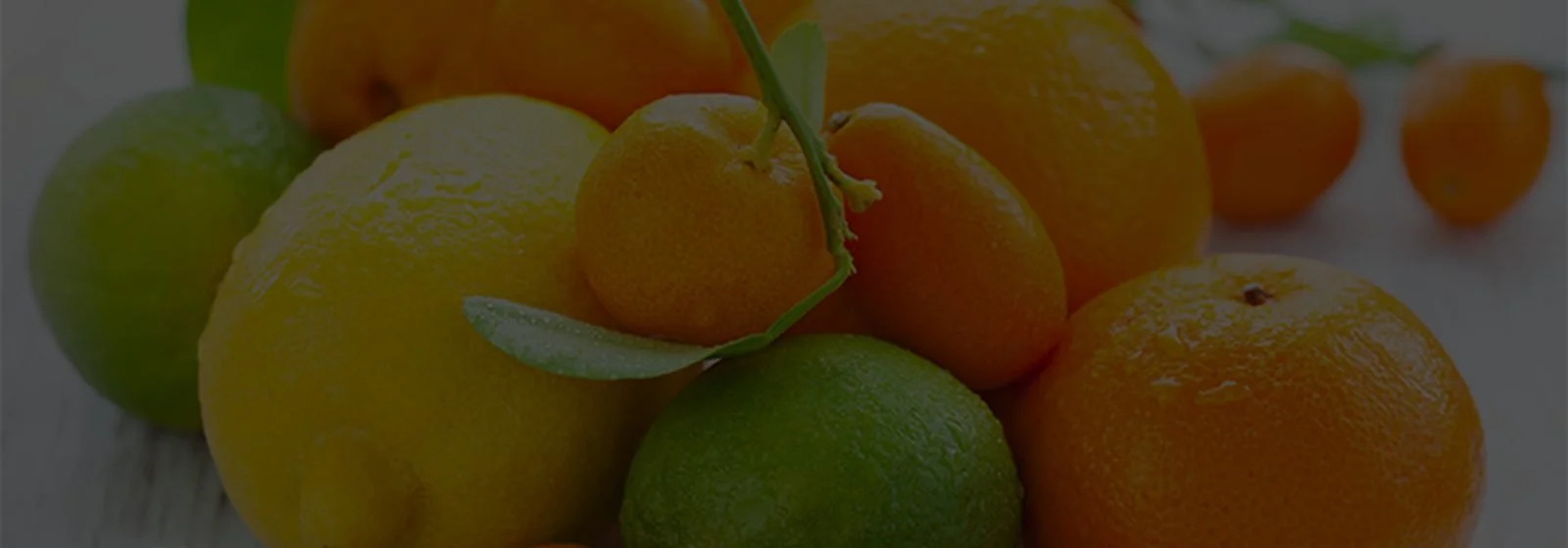 Fiberstar — Citri-Fi® narenciye lifi