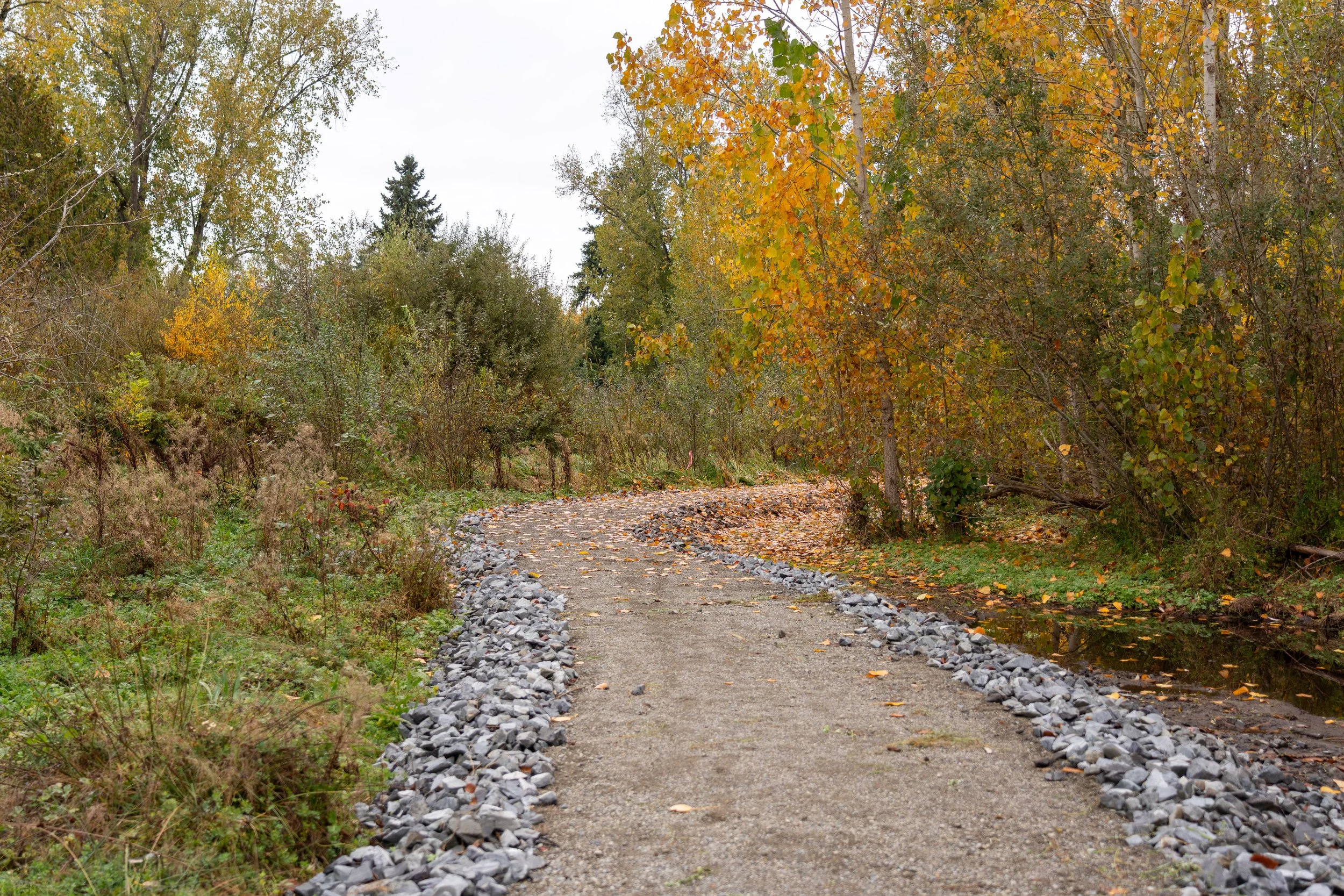 Aerial of the finished shoreline trail