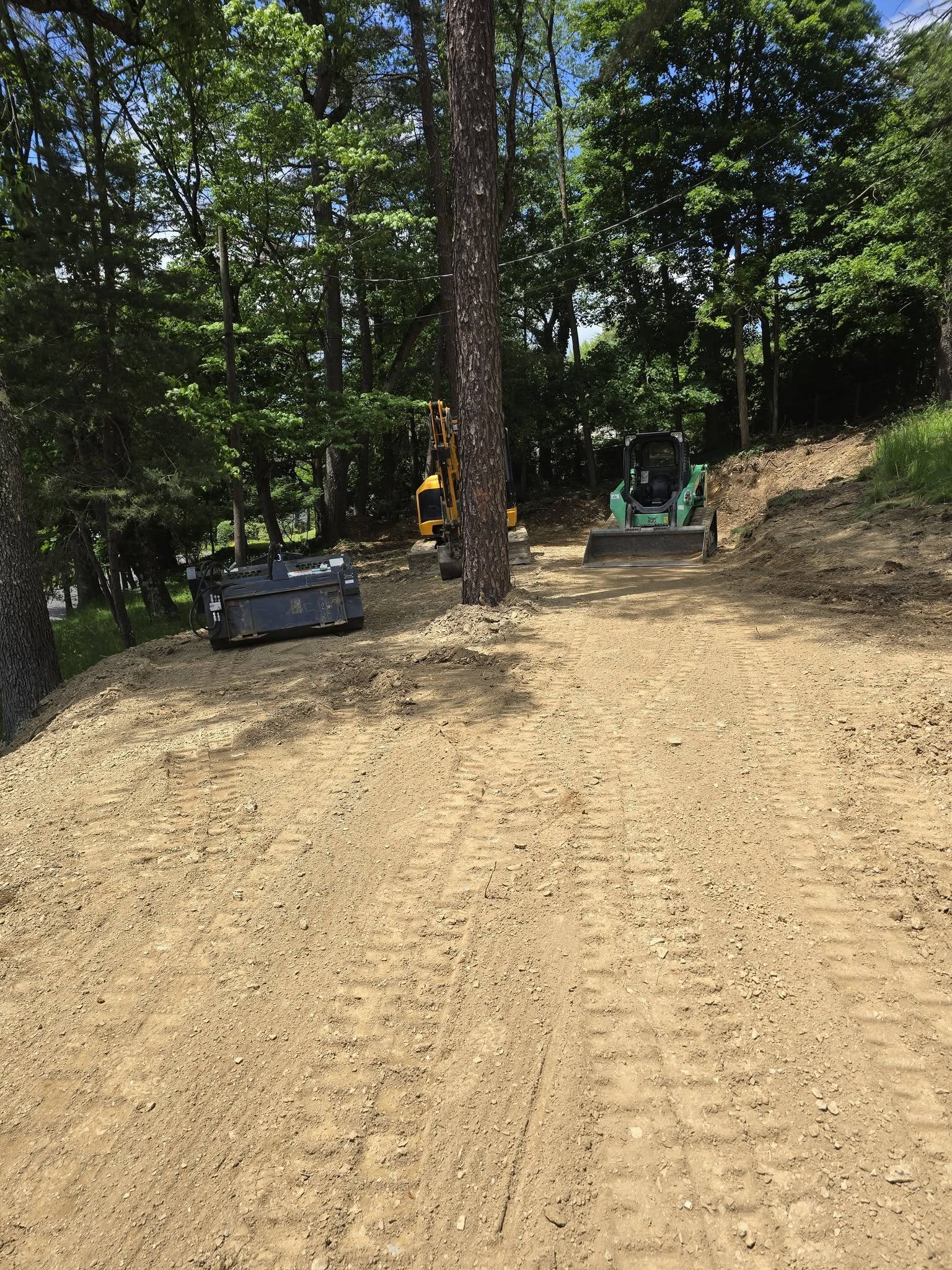 Cleared ground around trees with equipment still on site