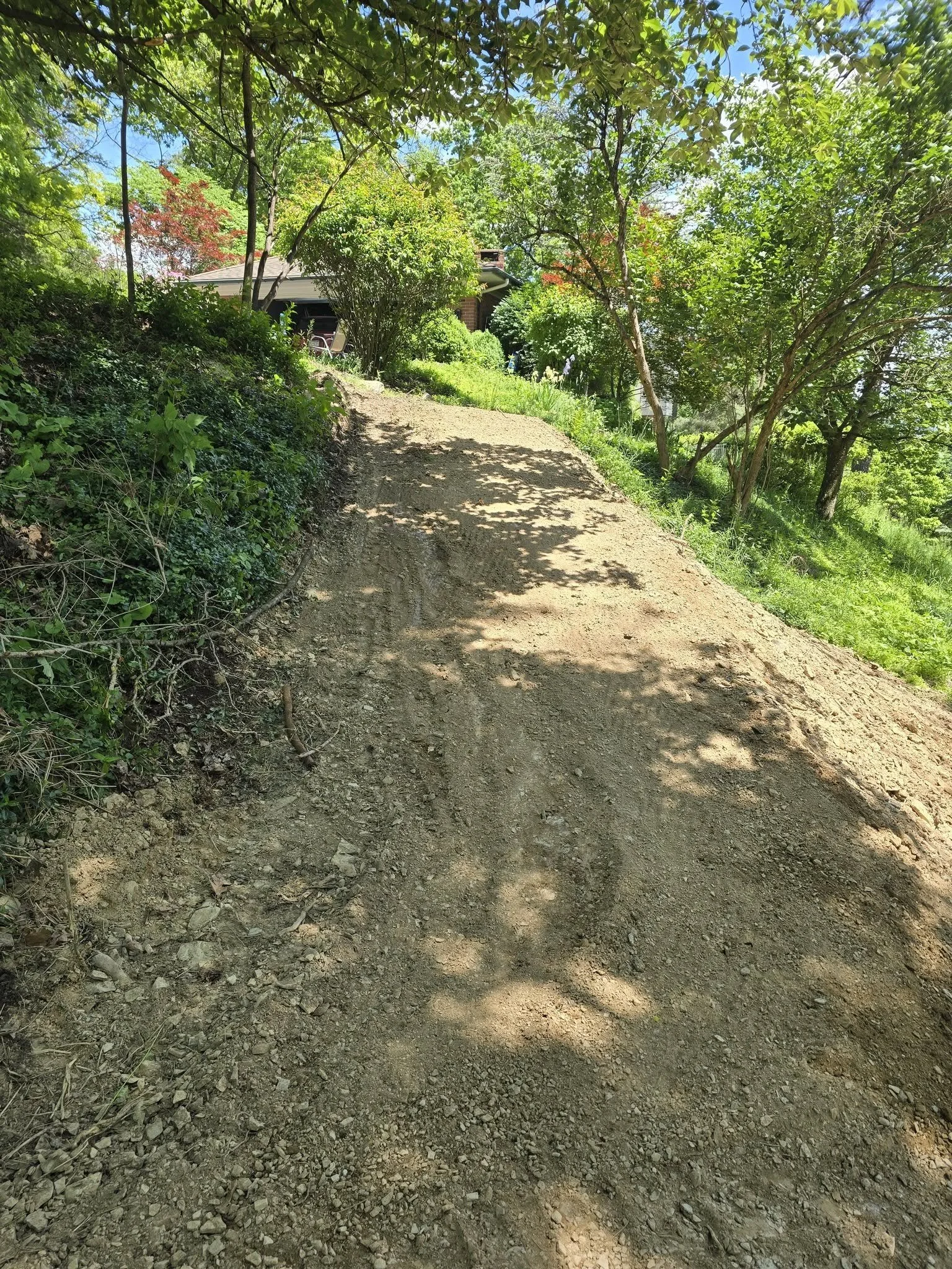View back along cleared path toward the house