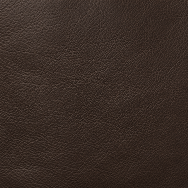 Foundation material swatch / Leather