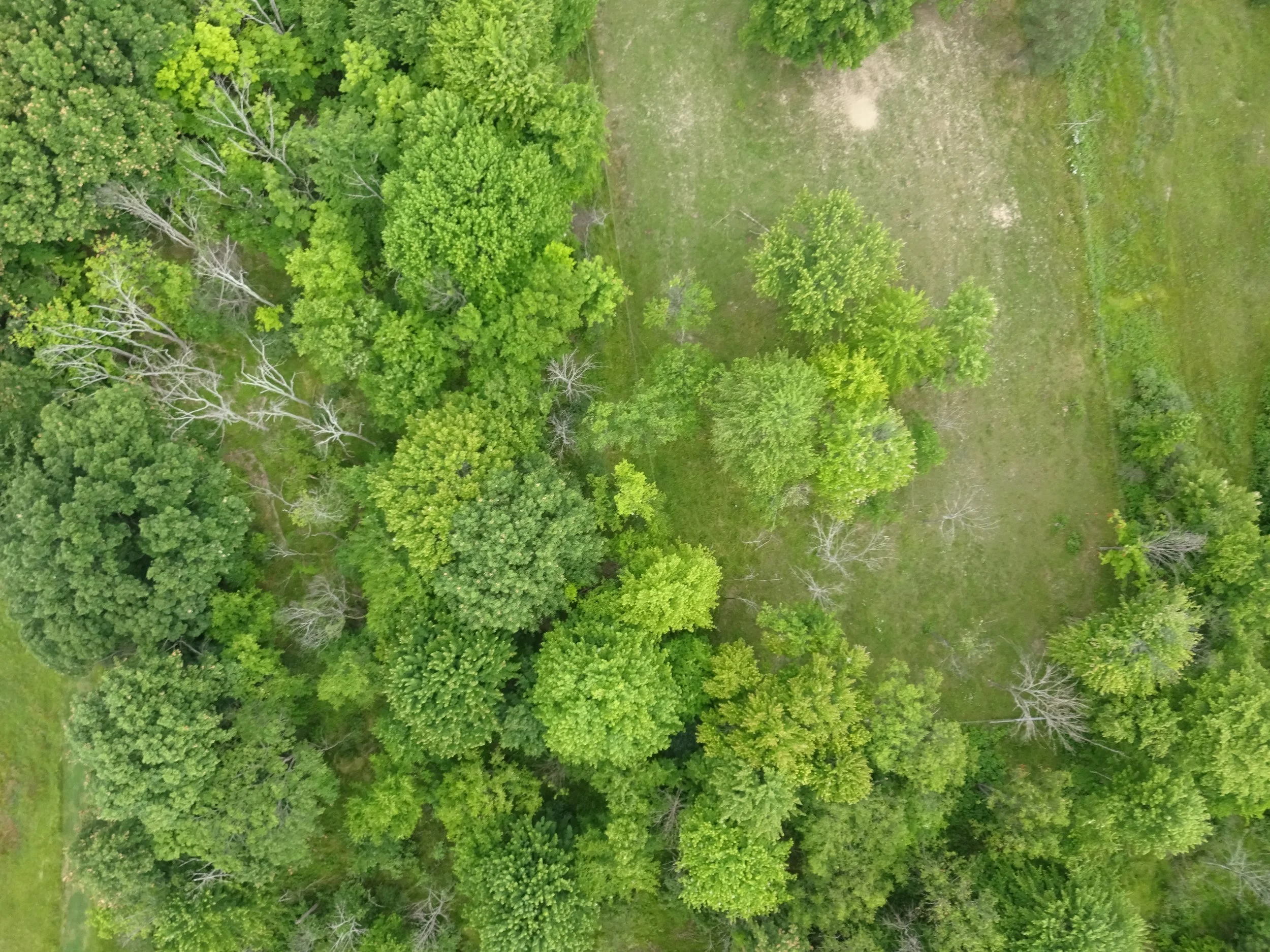 Raw aerial drone capture