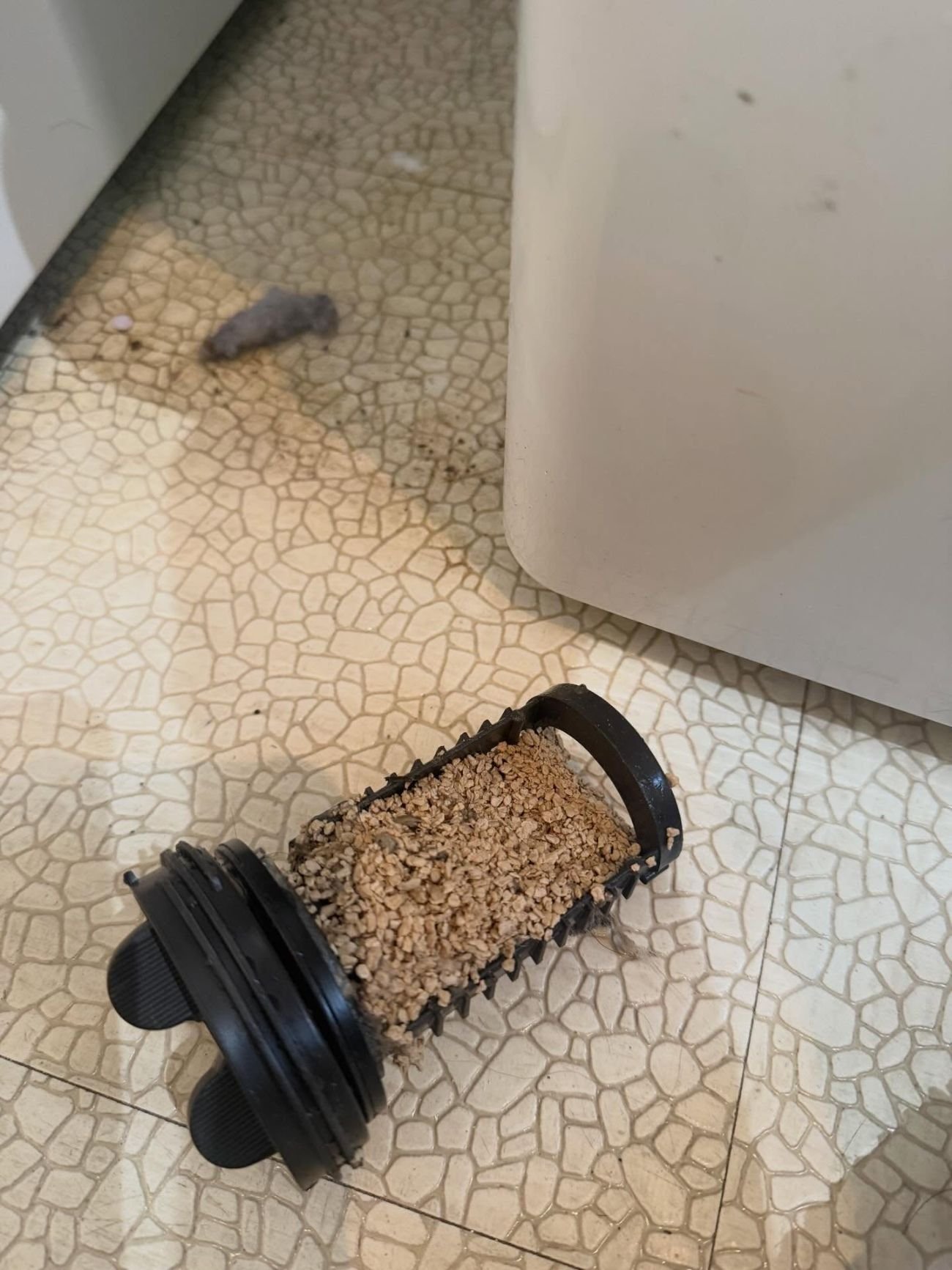 Dishwasher filter clogged with food buildup