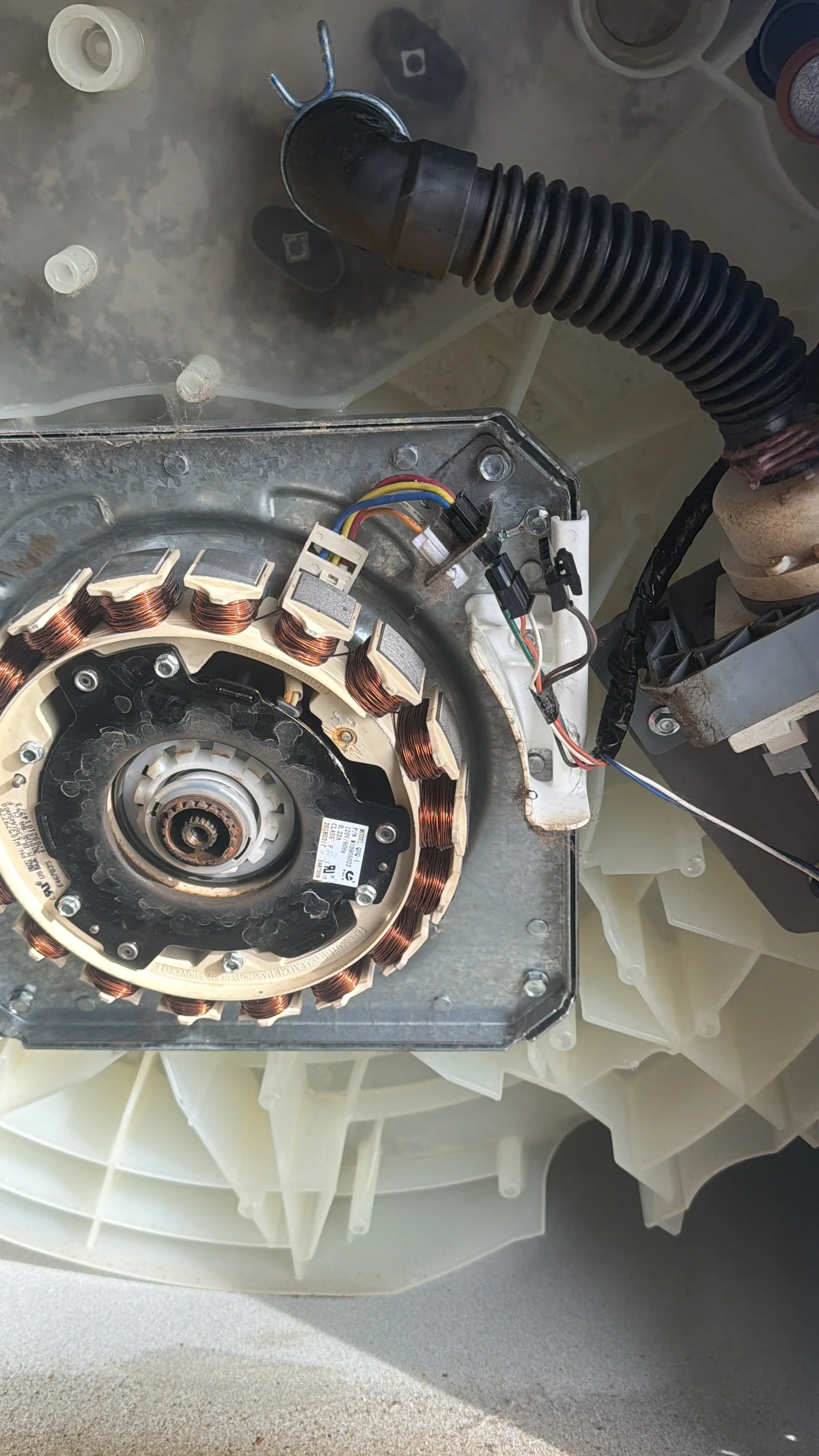 Washer stator and rotor during an appliance repair in Spokane Valley by SD Appliance