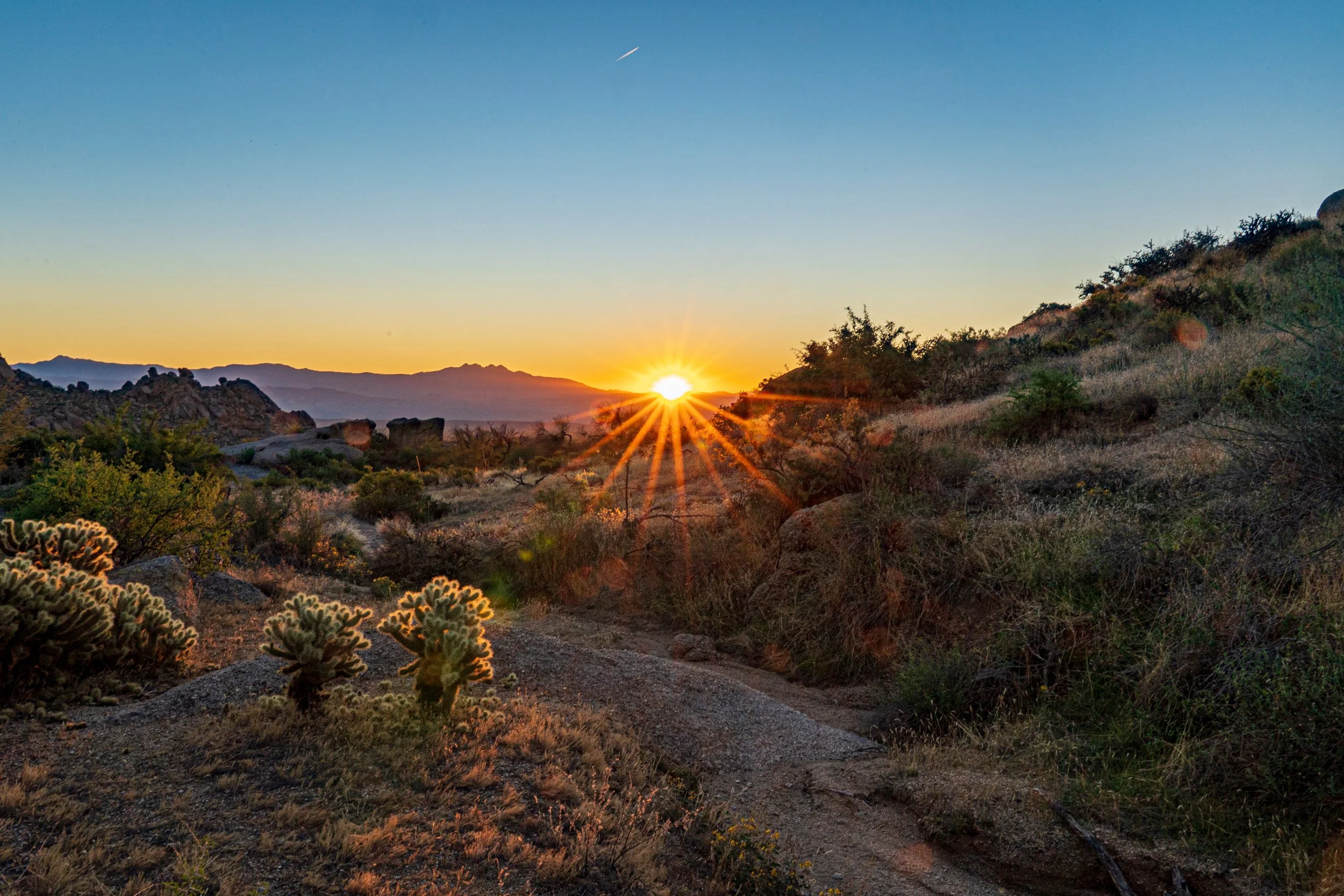 Sunrise over desert landscape in Scottsdale, Arizona