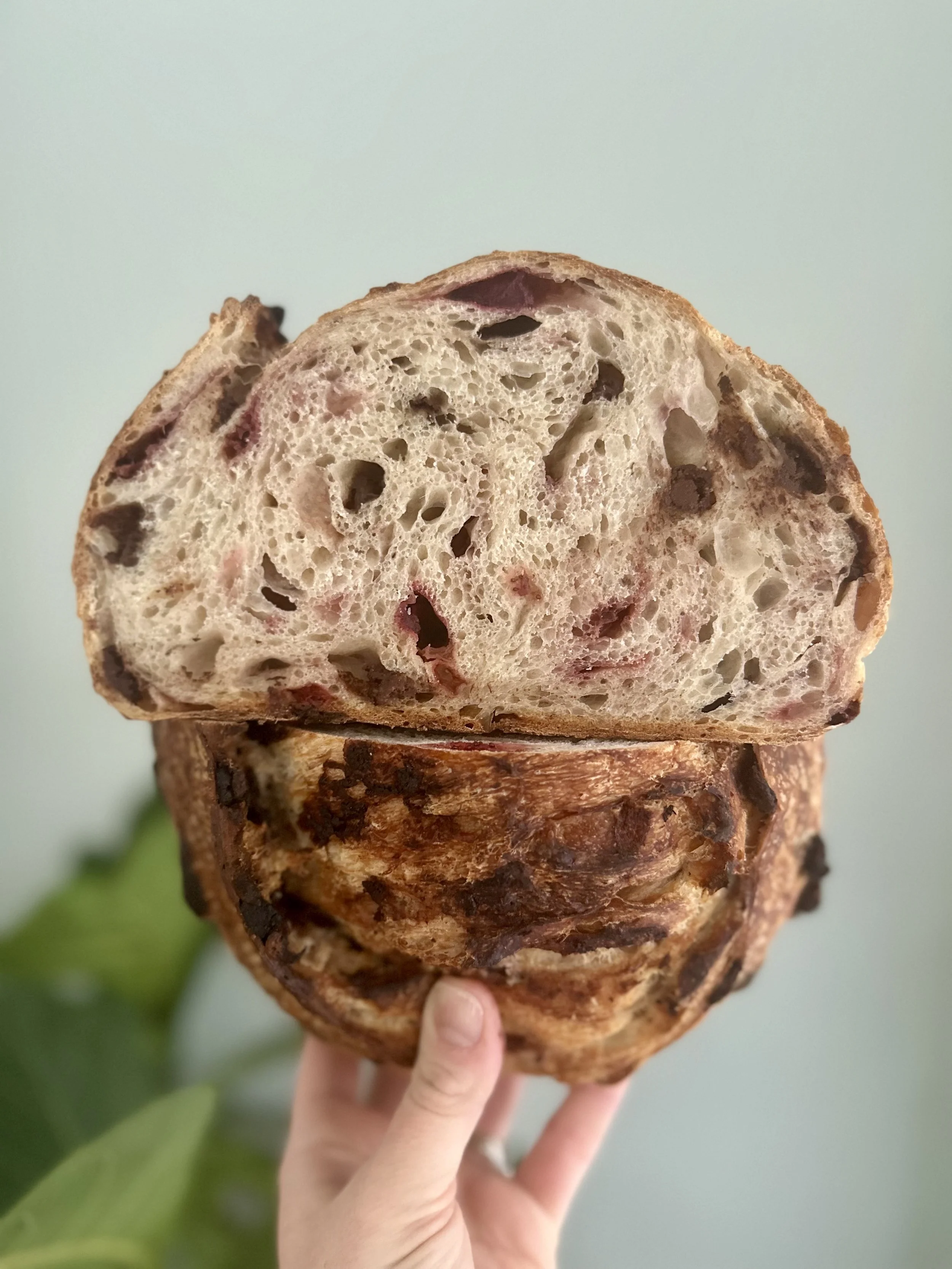 Seasonal bakery bakes