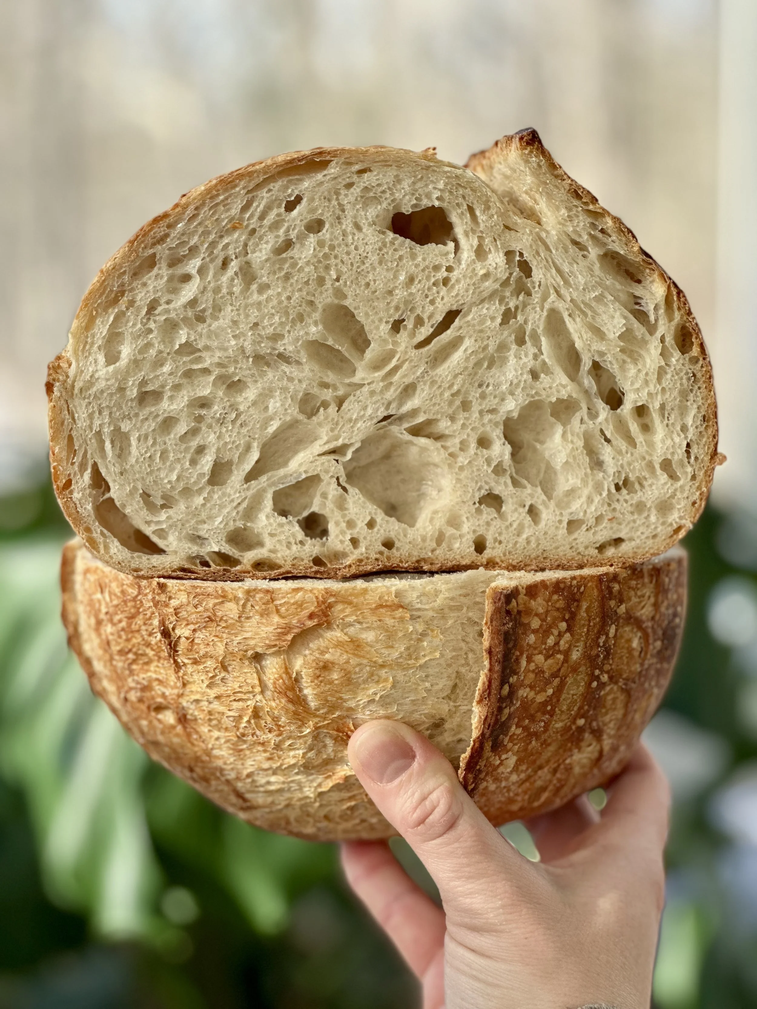 Freshly baked artisan sourdough loaf