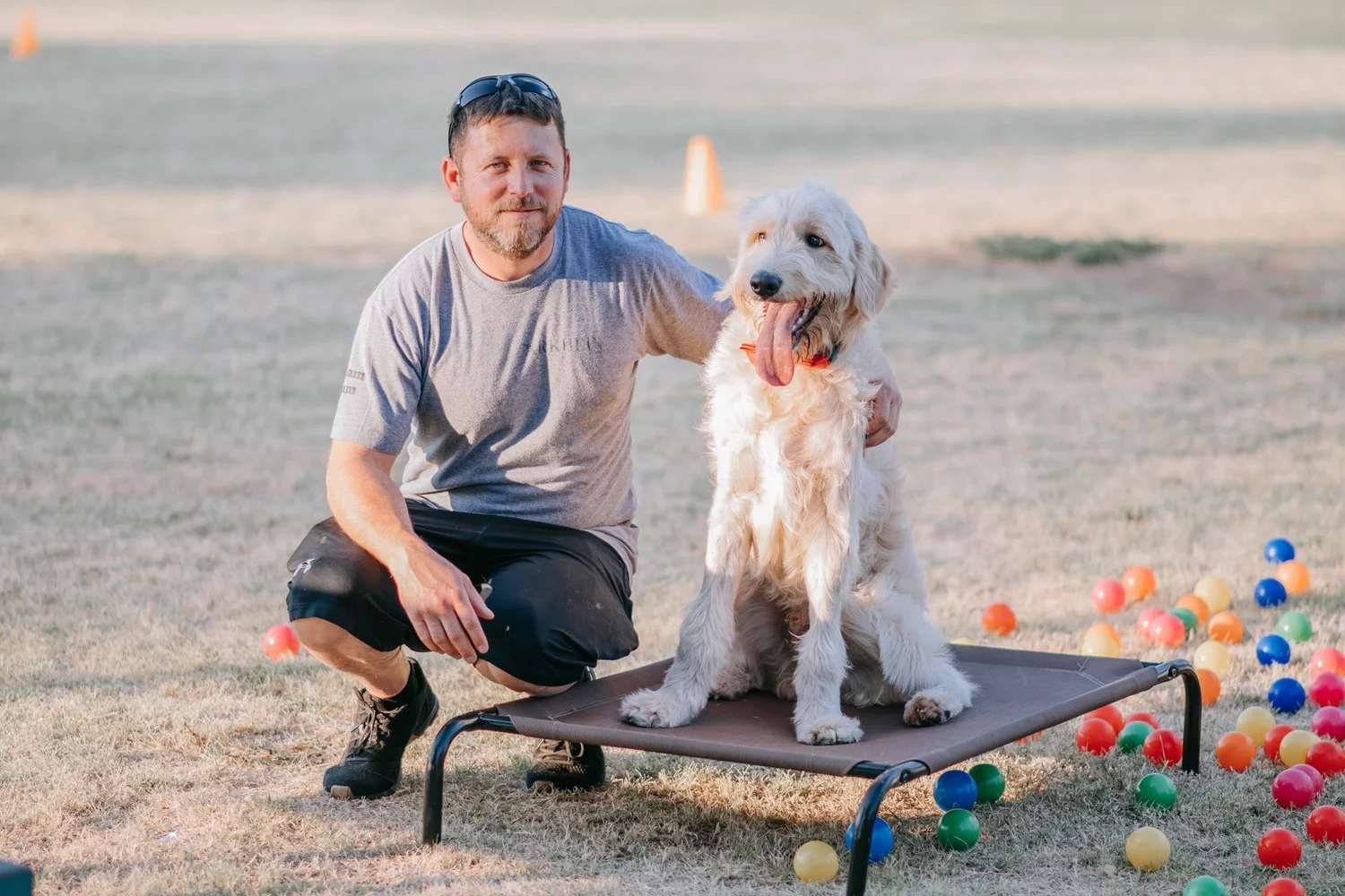 Trainer kneeling beside a cream-colored dog sitting on a raised training cot outdoors