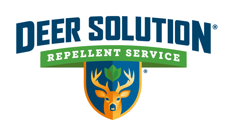 Deer Solution logo