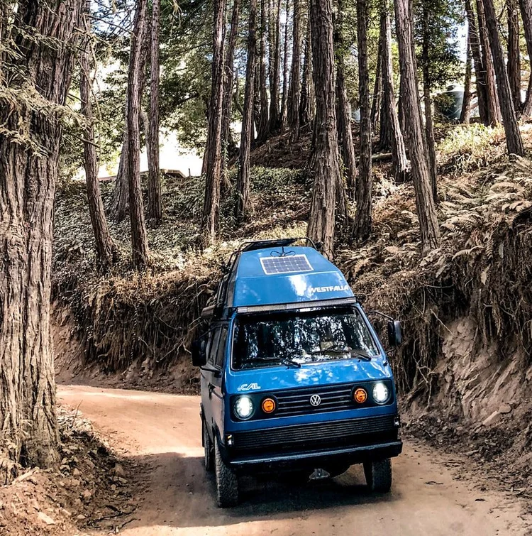 Blue Volkswagen camper on a forest road