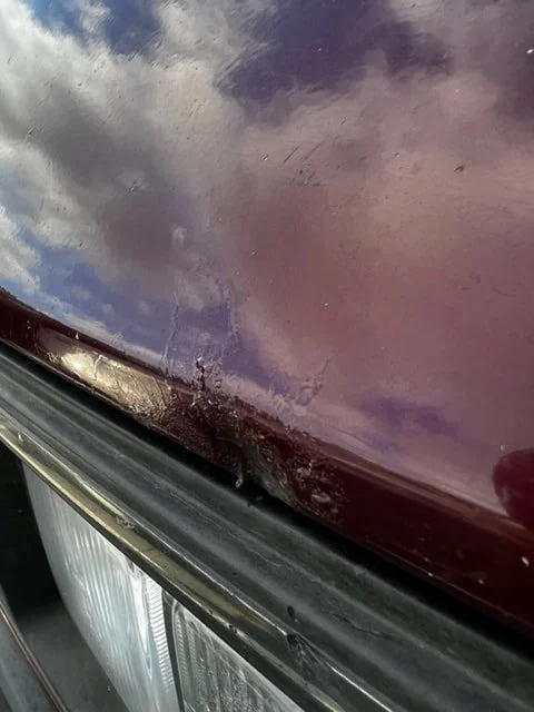 Close-up of the paint and seal along a Volkswagen windshield