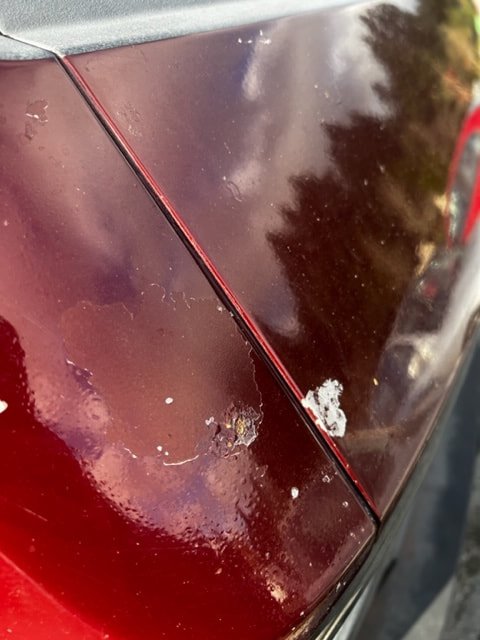 Close-up of worn burgundy paint beside a body seam