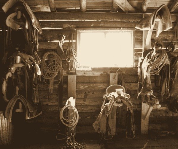 Saddles, bridles and ropes hung in the ranch tack room