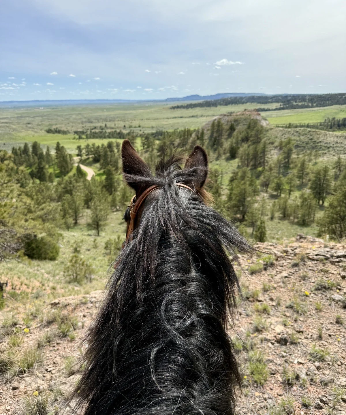 Riding the open country
