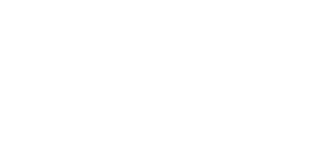Americans for Family Values