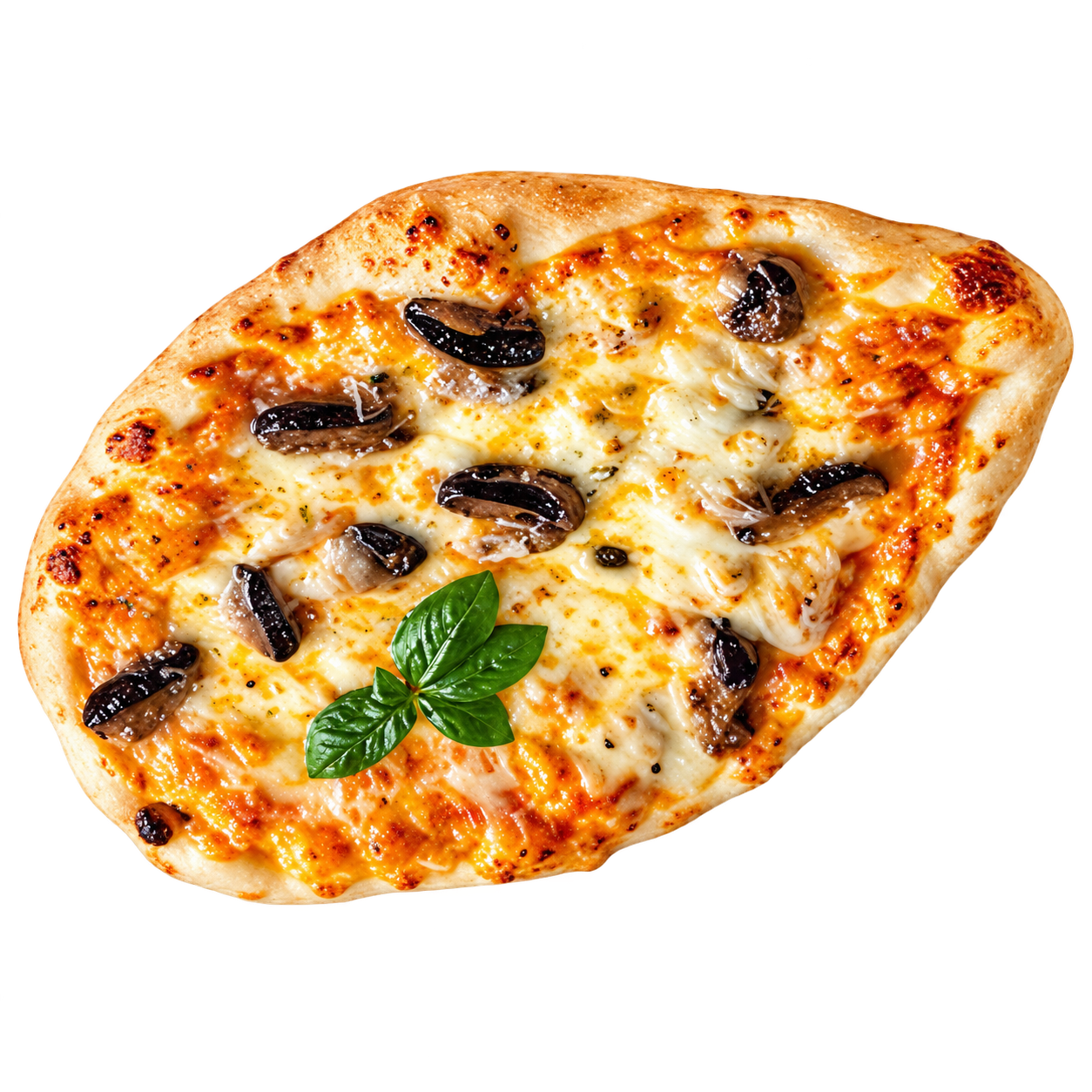 Veggie Delight Naan Pizza
