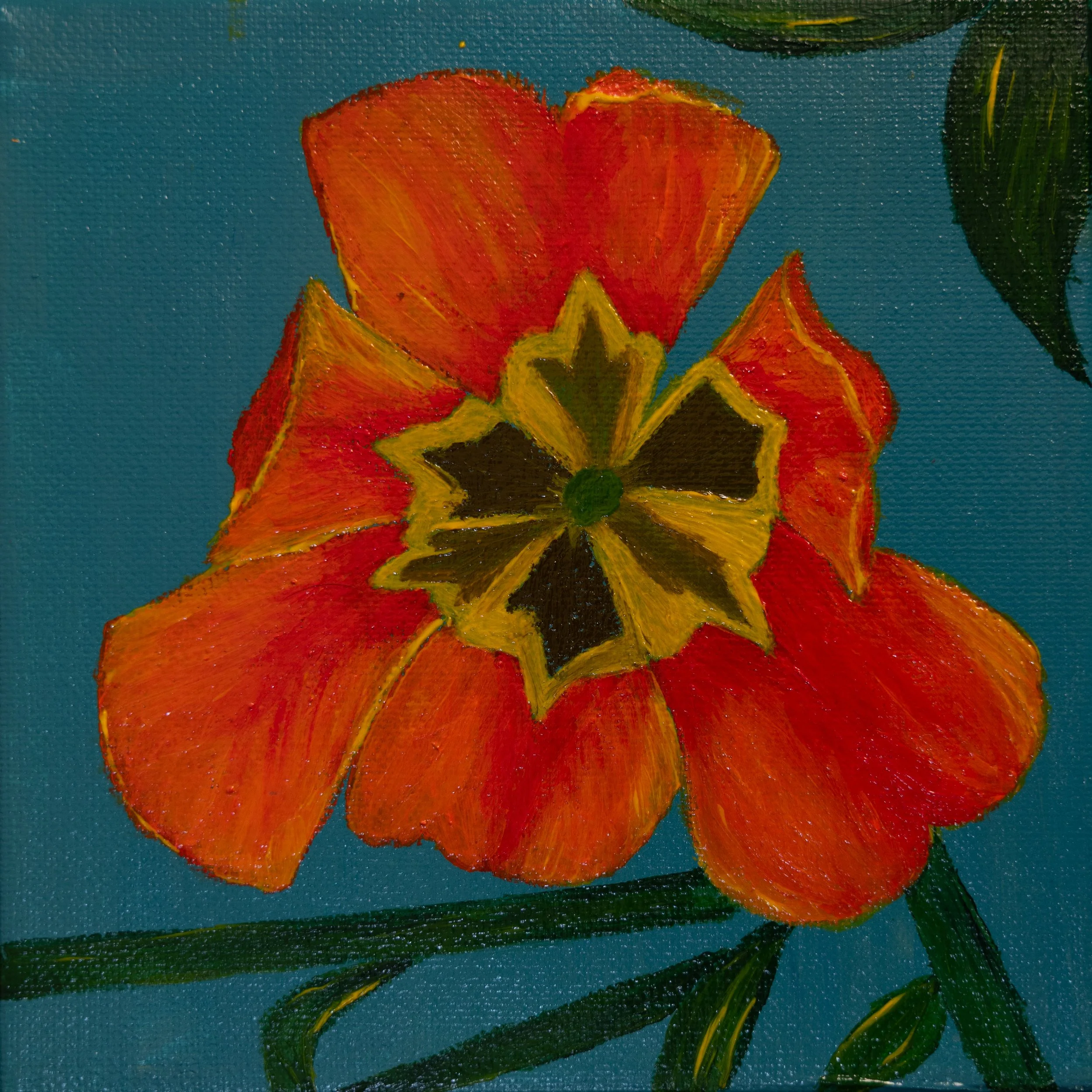 Ember Bloom