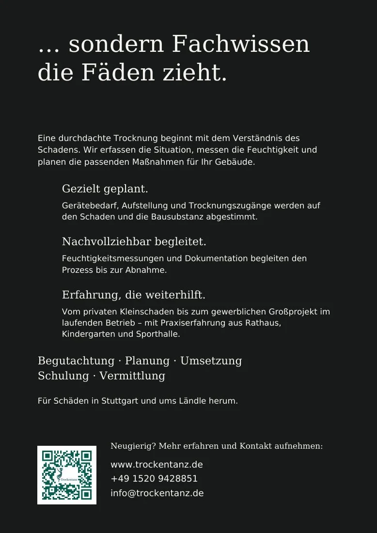 Flyer 2: Rückseite