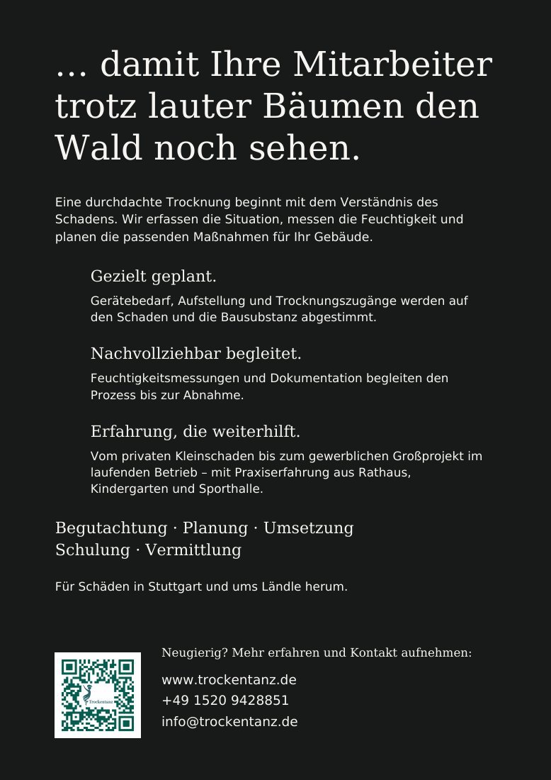 Flyer 7: Rückseite