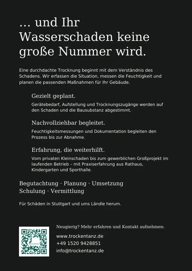 Flyer 3: Rückseite