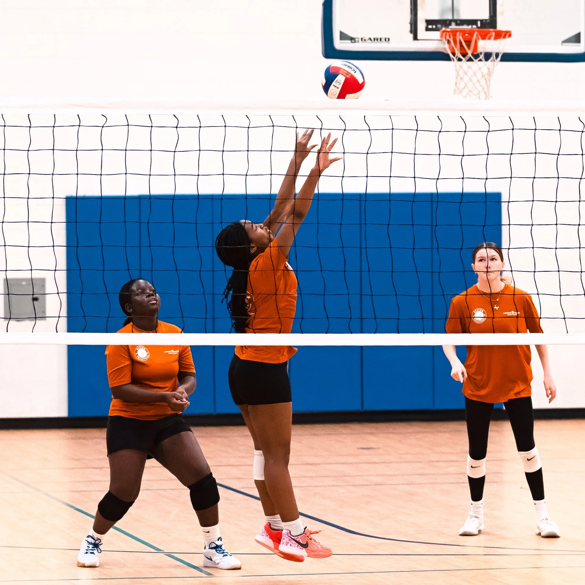 Reston Volleyball players in orange jerseys practicing a play at the net