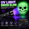 UV Blacklight
