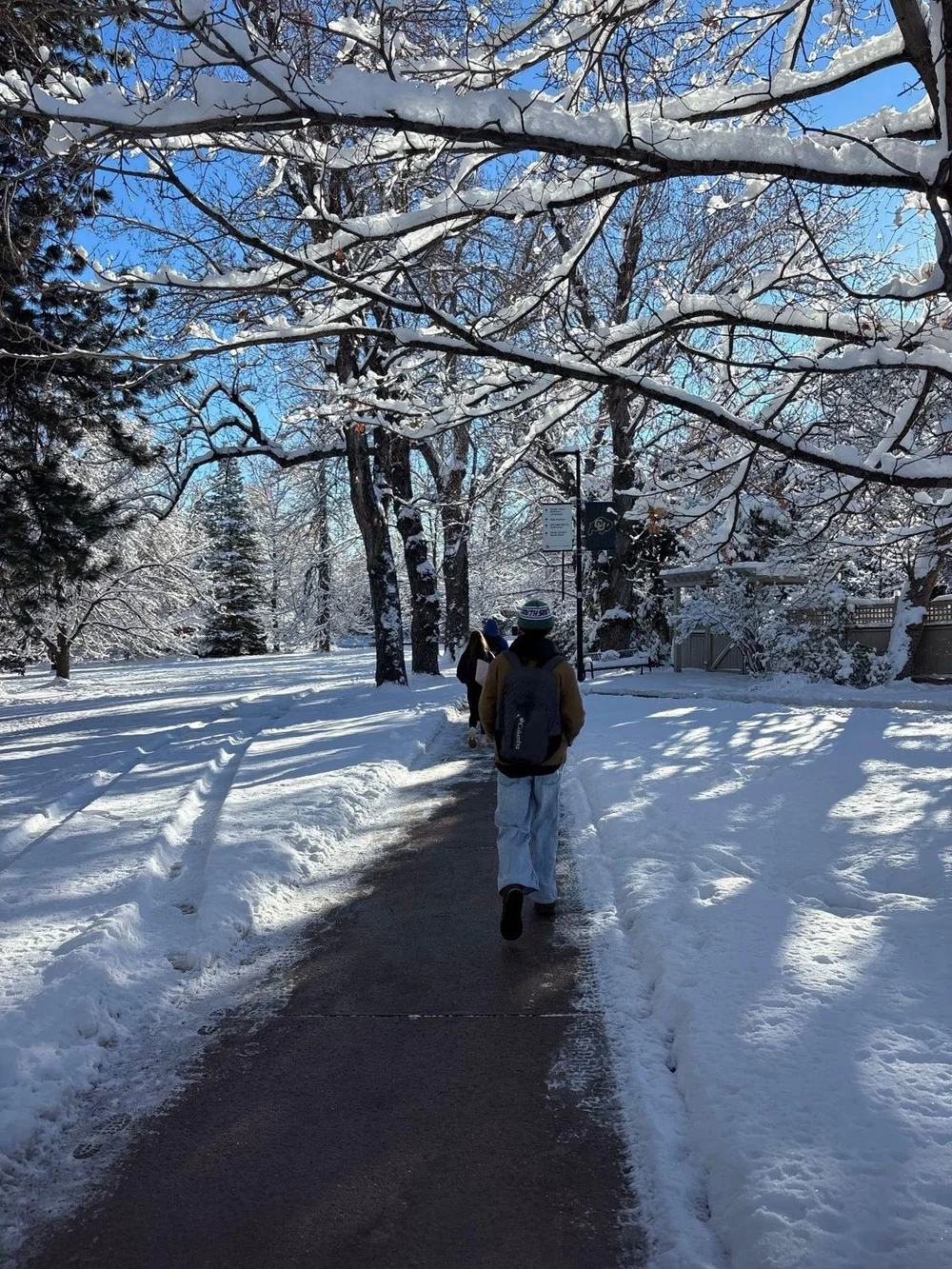 Snowy walk