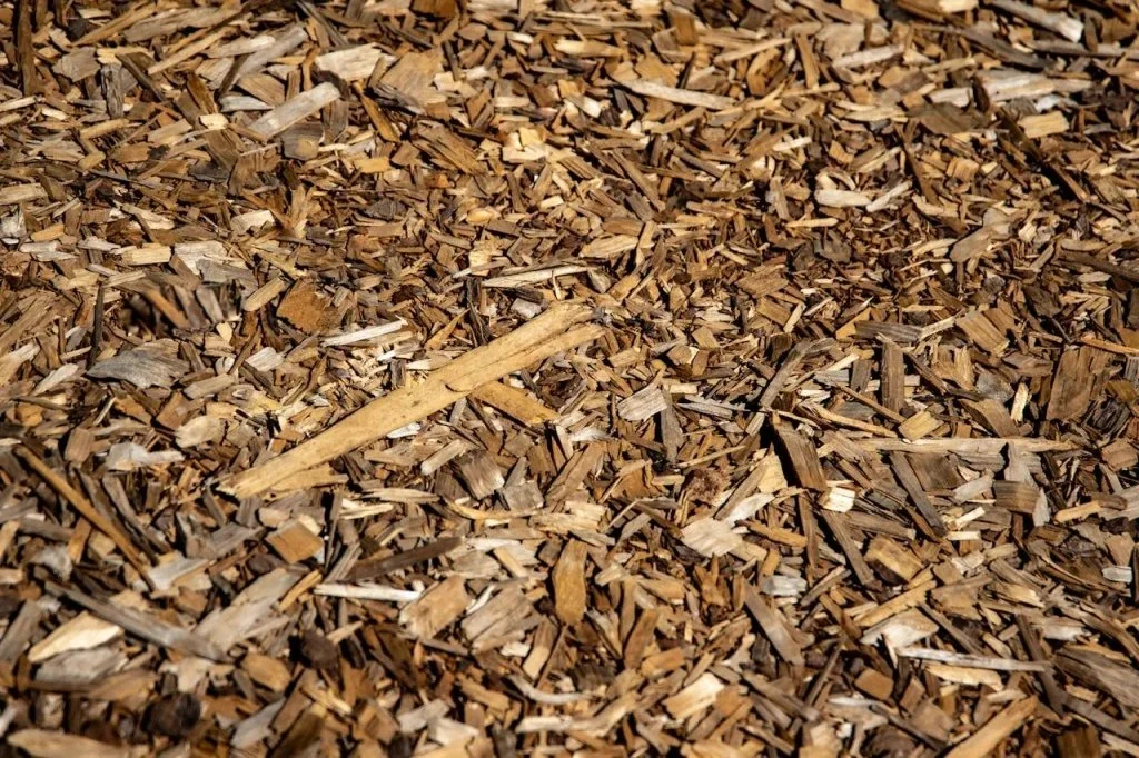 Mulch on the ground