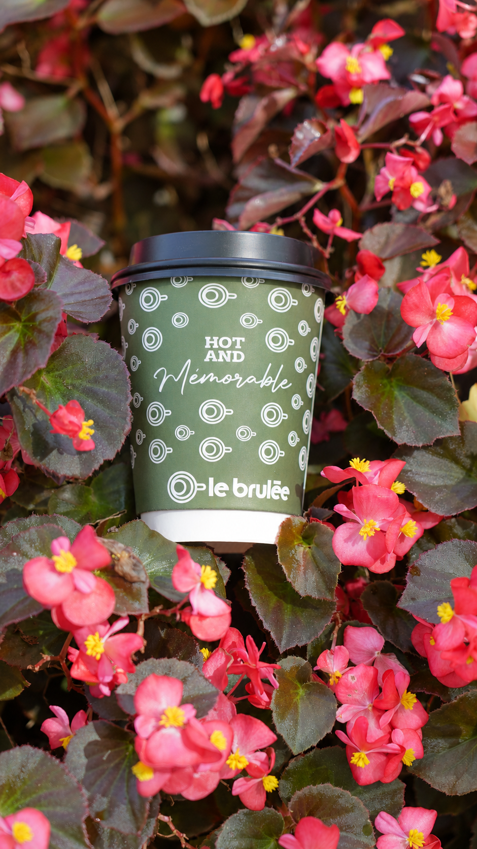 Green Le Brulée takeaway coffee cup among bright red flowers