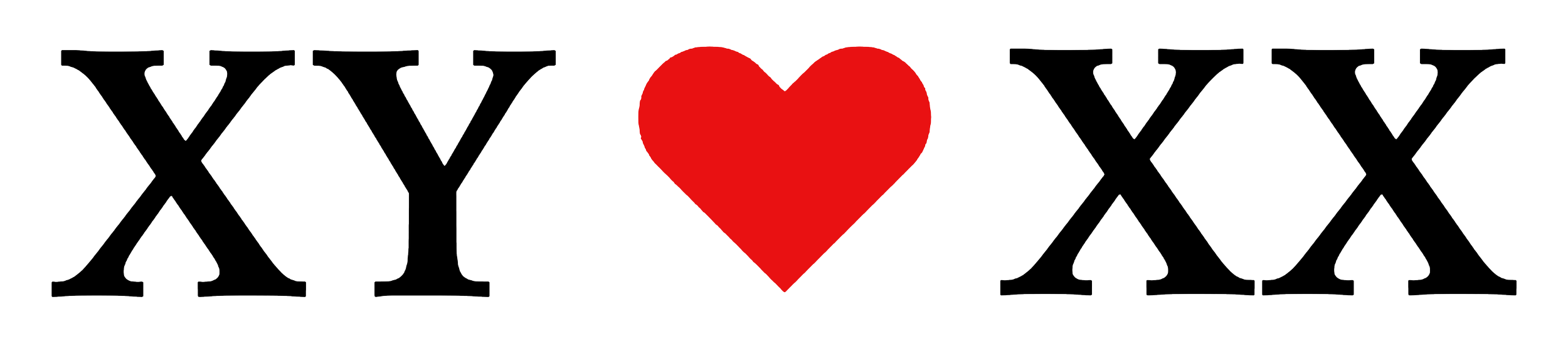XY heart XX — The Straightest Flag Co.