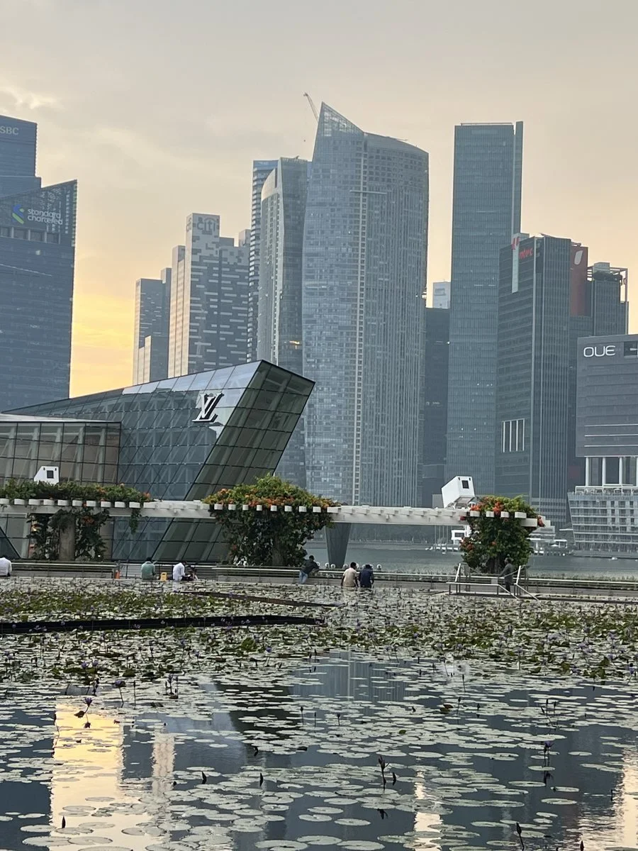 The Marina Bay skyline in Singapore, reflected in a lily pond