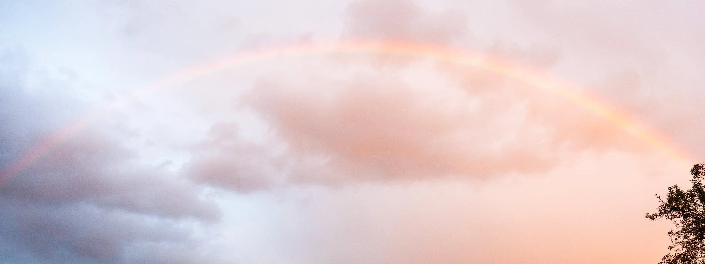 Overcast sky at dusk, a faint rainbow at the left edge and the top of a tree at the right.