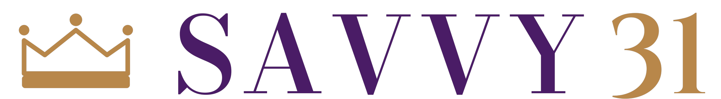Savvy 31